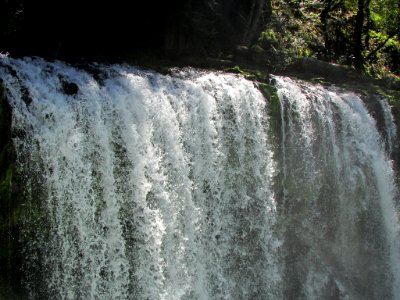Spirit Falls Trail on Little White Salmon River in WA