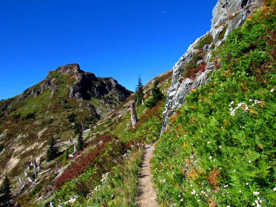 Coldwater Peak at Mt. Margaret Backcountry in WA