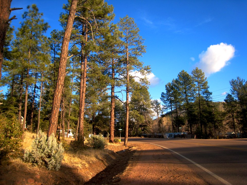 On Fossil Creek Road