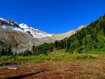 Glacier Basin Trail at Mt. Rainier NP in WA