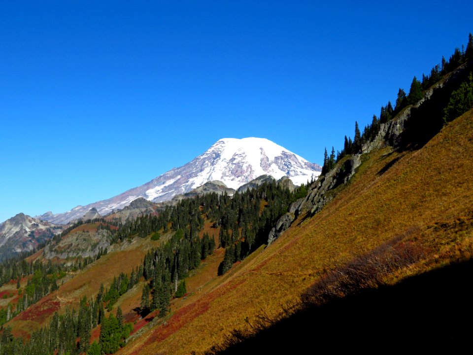 Mt. Rainier at Tatoosh Ridge in WA
