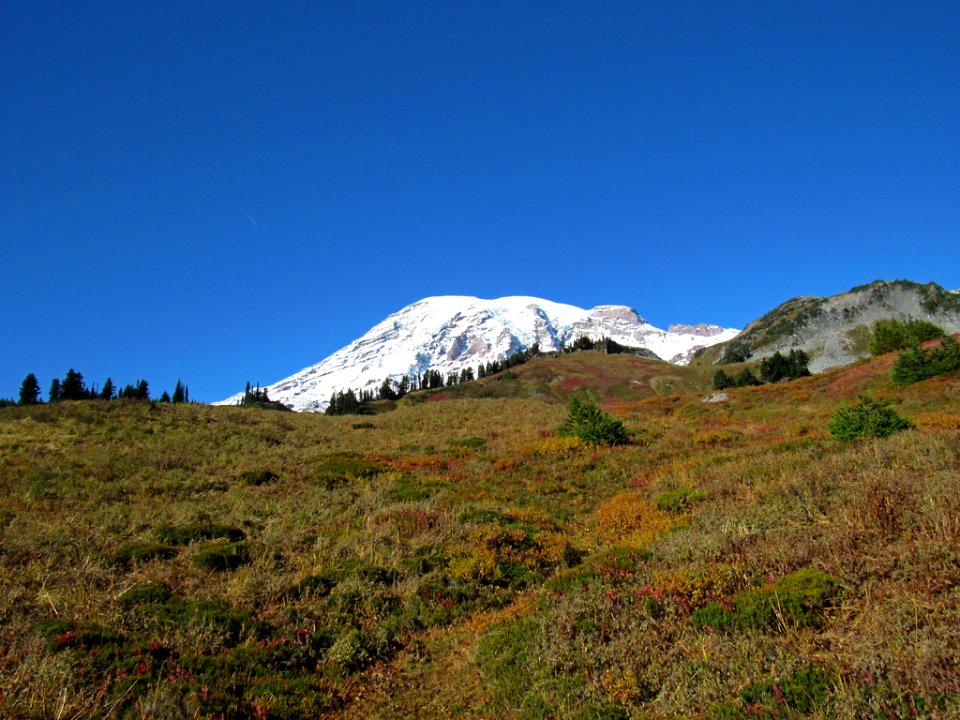 Autumn at Skyline Trail at Mt. Rainier NP in WA