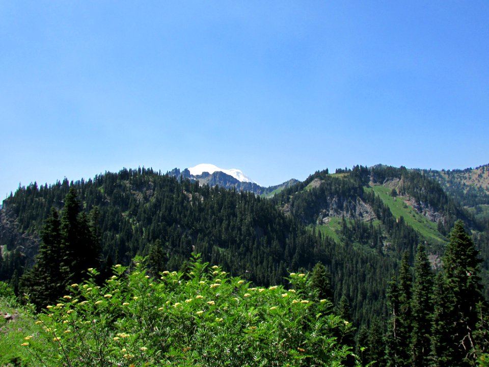 Mt. Rainier NP in WA