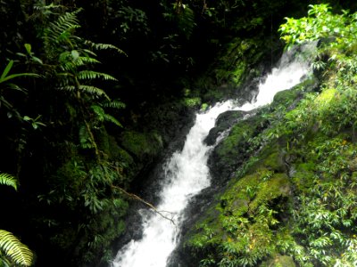 DSCF0118