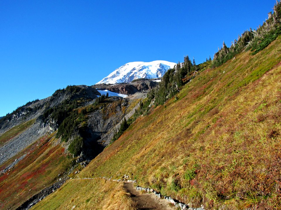 Autumn at Golden Gate Trail at Mt. Rainier NP in WA