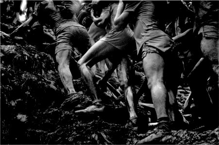 Exposição de fotos de Sebastião Salgado começa a percorrer centros culturais de BH photo