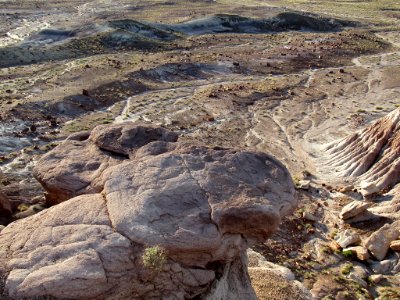 Jasper Forest at Petrified Forest NP in Arizona photo