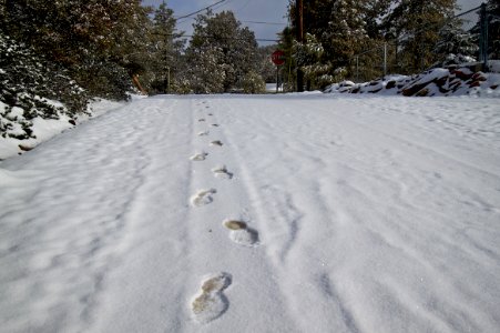Someone Came a Walkin'
