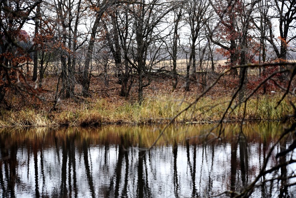 Oak trees line the Platte River at Crane Meadows National Wildlife Refuge