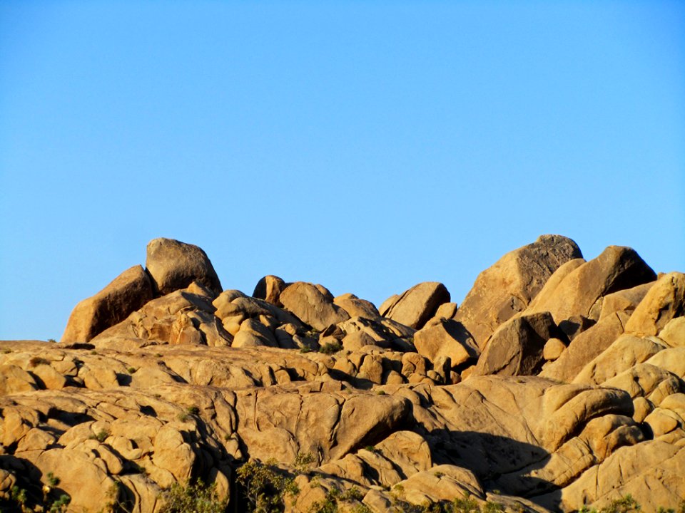 Joshua Tree NP in CA