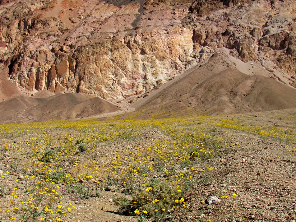 Artist's Drive at Death Valley NP in CA
