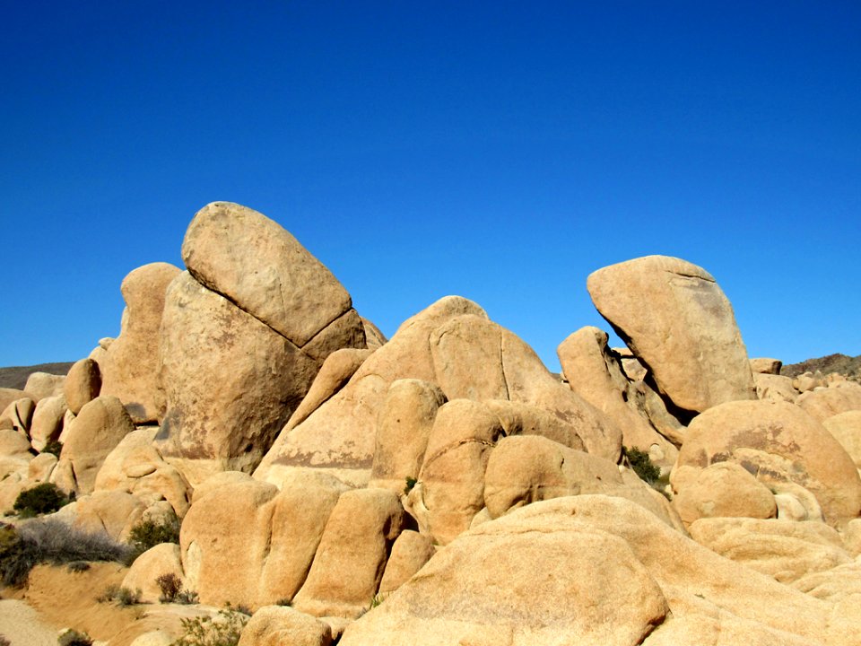 Joshua Tree NP in California photo