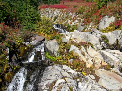 Autumn at Skyline Trail at Mt. Rainier NP in WA