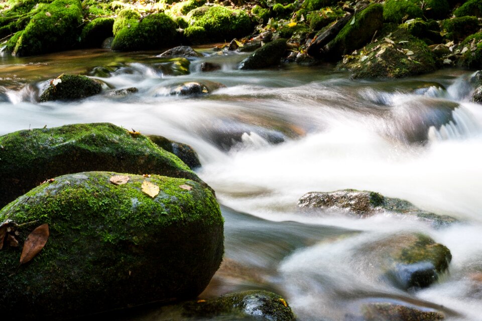 River mood spring
