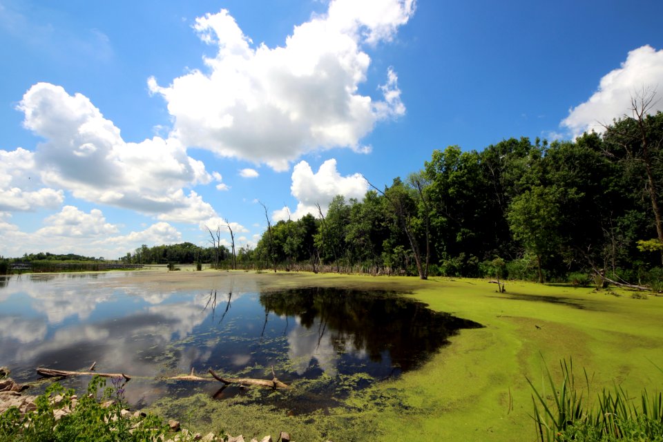 Horicon National Wildlife Refuge