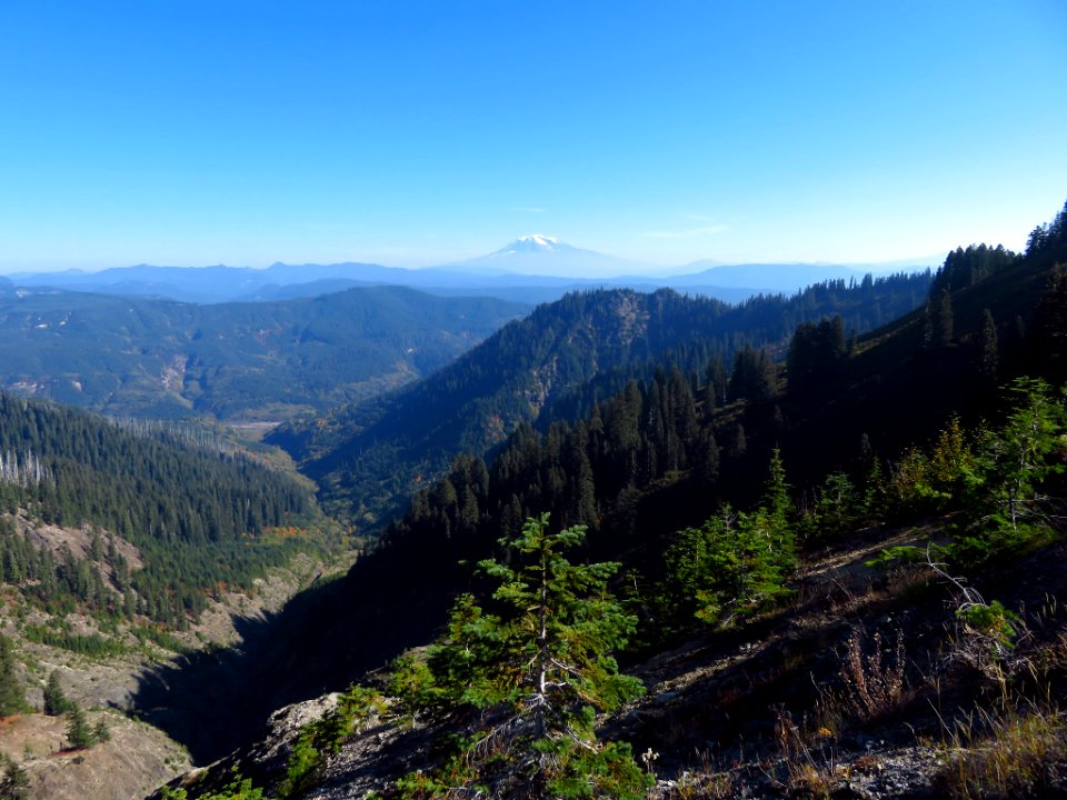 Ape Canyon Trail in WA