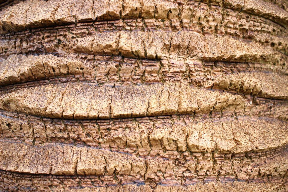 Pattern wood wood grain