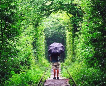 Keith Umbrella Tunnel of Love Klevan Ukraine