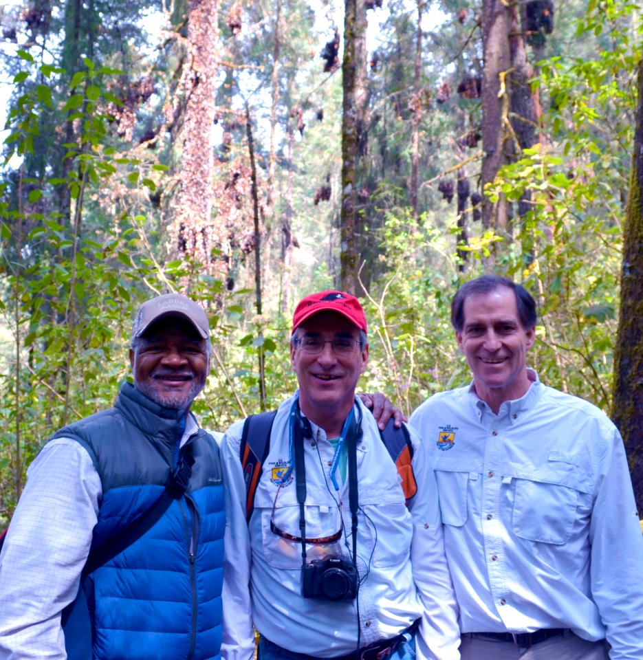 Monarchs in Mexico