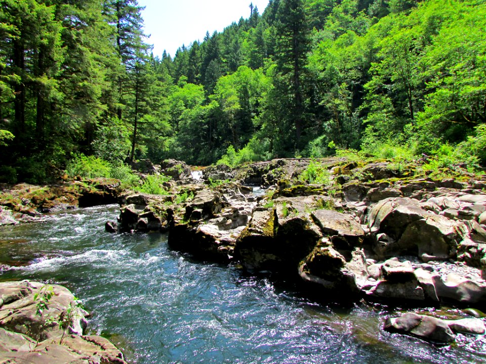 Moulton Falls Park at Lewis River in WA