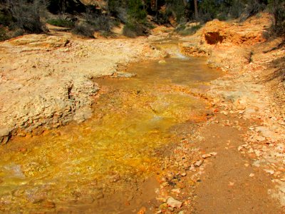 Bryce Canyon NP in Utah photo