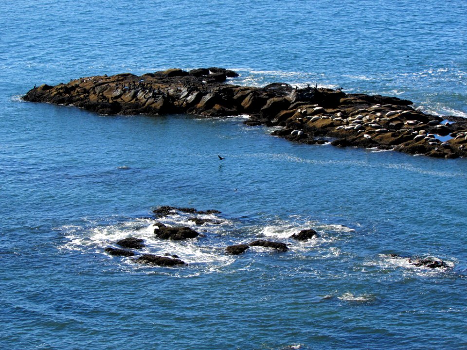 Yaquina Head in OR