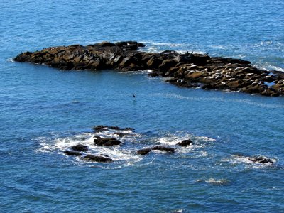 Yaquina Head in OR