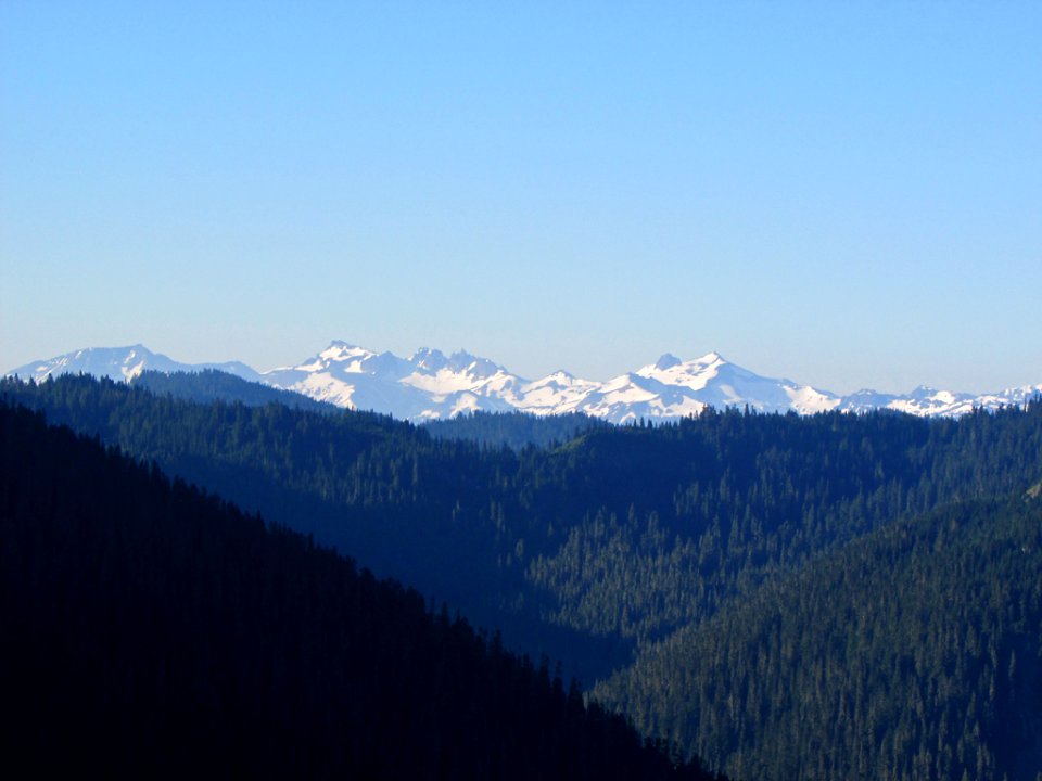 Mt. Rainier NP in WA
