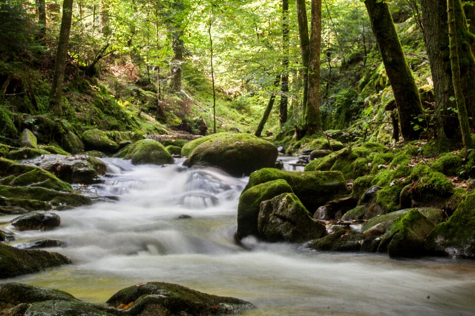 River mood spring