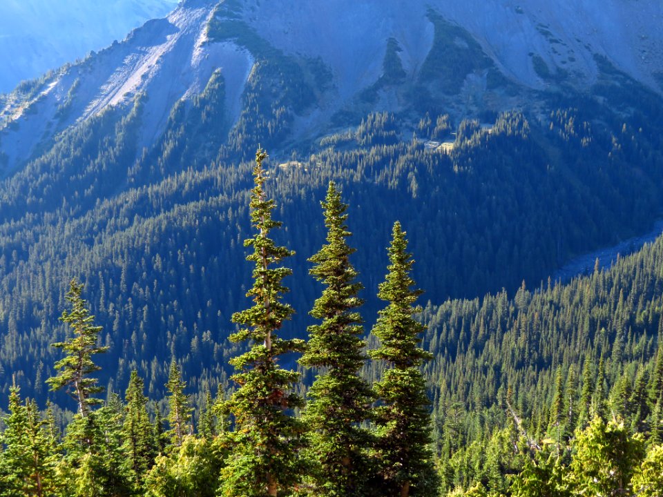 Burroughs Mt. Trail at Mt. Rainier NP in WA