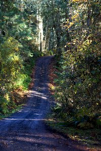 Even the Driveways in Oregon Are Damn Scenic