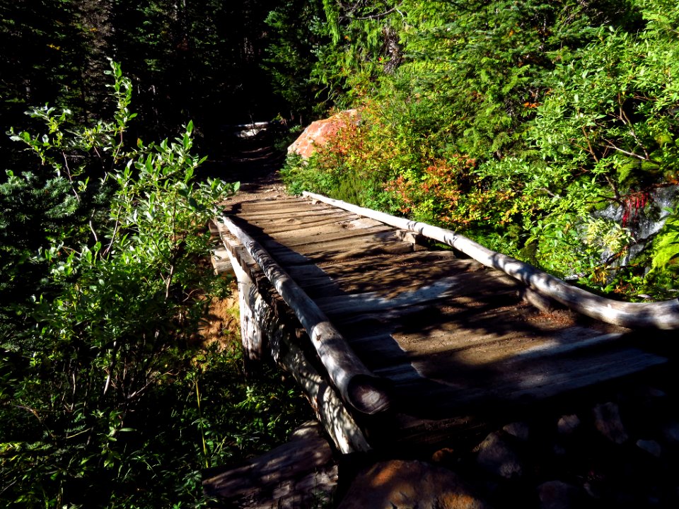 Burroughs Mt. Trail at Mt. Rainier NP in WA