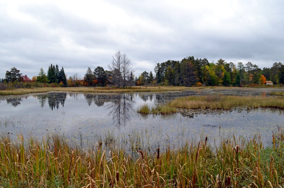 Seney Demonstration Pools