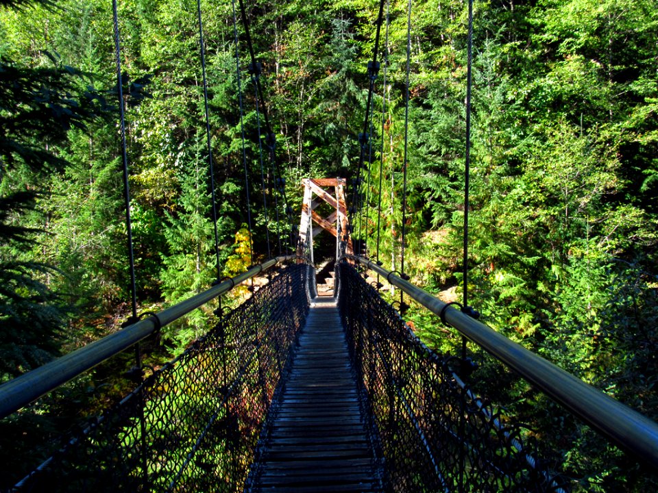 Suspension Bridge at Lava Canyon in WA