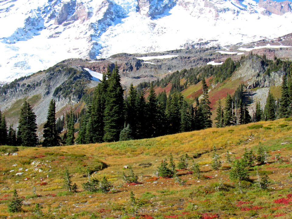 Autumn at Skyline Trail at Mt. Rainier NP in WA
