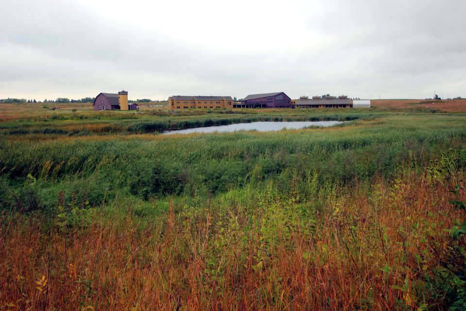 Fall at the Prairie Wetlands Learning Center