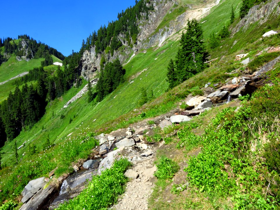 Hidden Lake Trail at North Cascades NP in WA