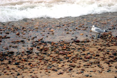 Lake Superior - Whitefish Point
