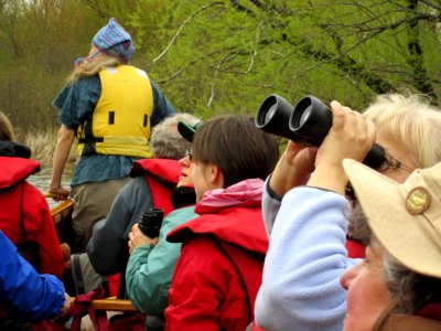birding with the voyageurs