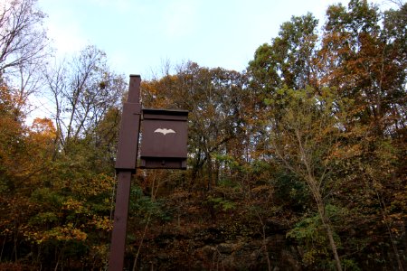 Bat House