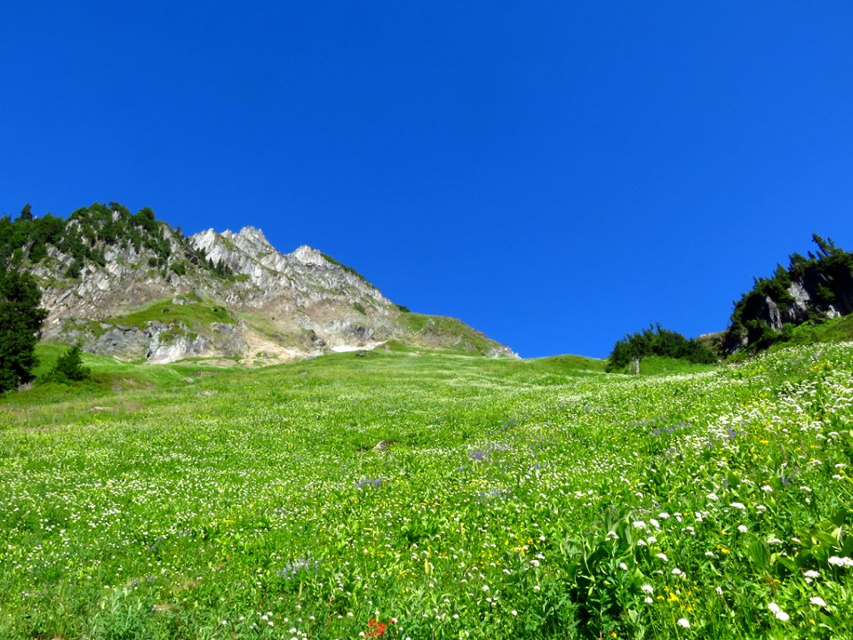 Hidden Lake Trail at North Cascades NP in WA