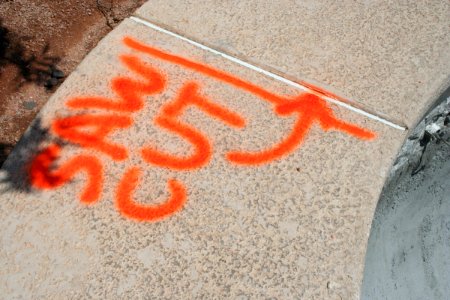 Cut on the Dotted Lines (2)
