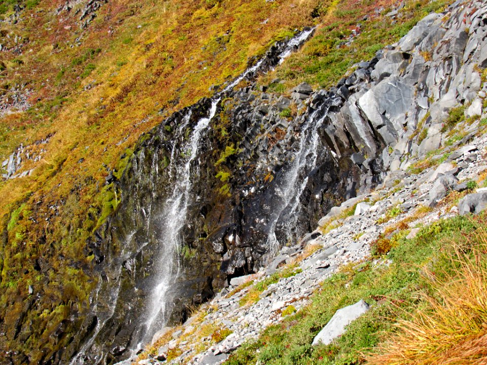 Autumn at Golden Gate Trail at Mt. Rainier NP in WA