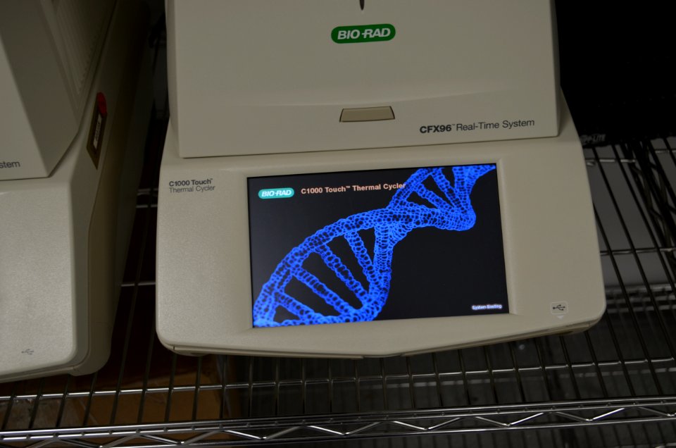 Whitney Genetics Lab PCR Machine