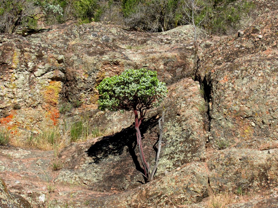 Pinnacles NP in CA