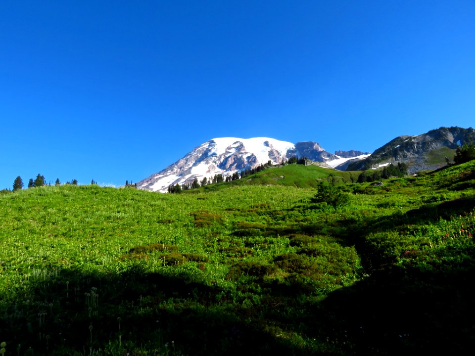 Skyline Trail at Mt. Rainier NP in WA