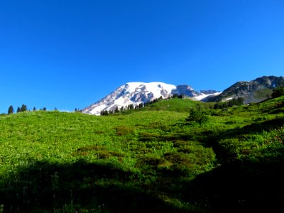 Skyline Trail at Mt. Rainier NP in WA