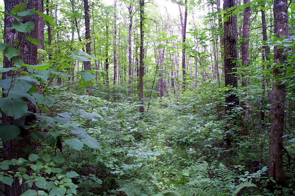 Rice Lake National Wildlife Refuge