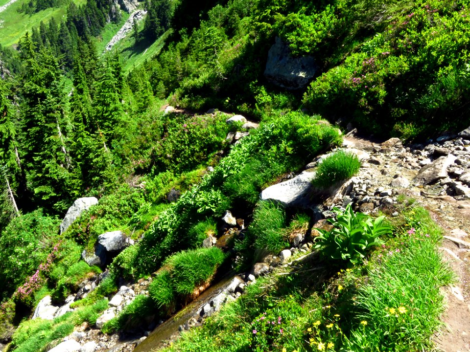 Hidden Lake Trail at North Cascades NP in WA