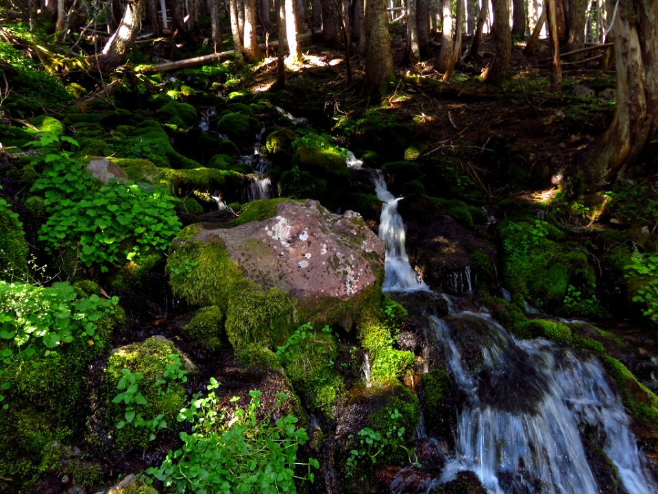 Waterfall at Mt. Rainier NP in WA